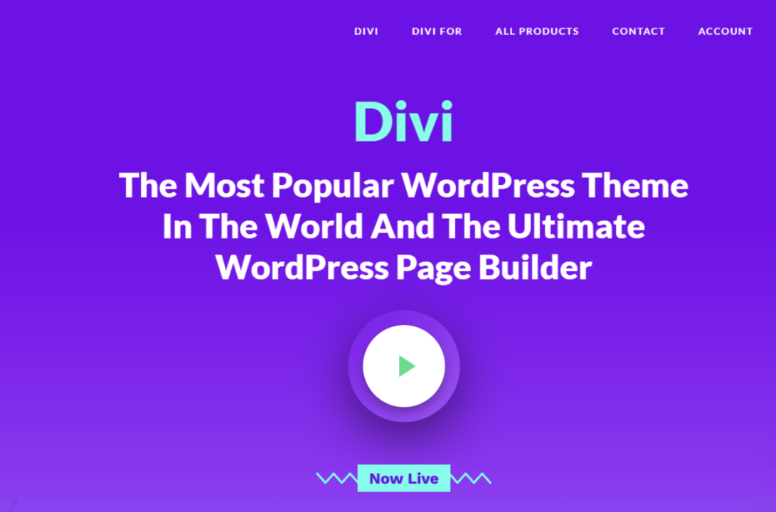 Divi theme