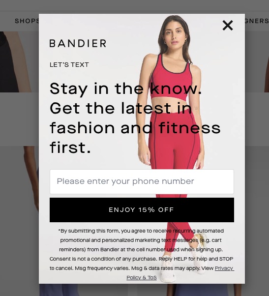 Timed website popup example by Bandier